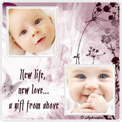 NewbornCollageAngel007.jpg