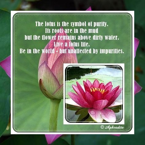 SpiritualCollageAngel020.jpg